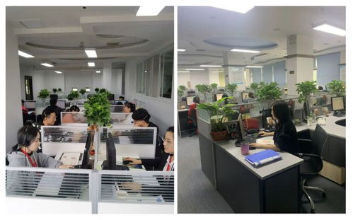 成都市成華區(qū)府青路街道第七次全國人口普查咨詢熱線服務(wù)開通